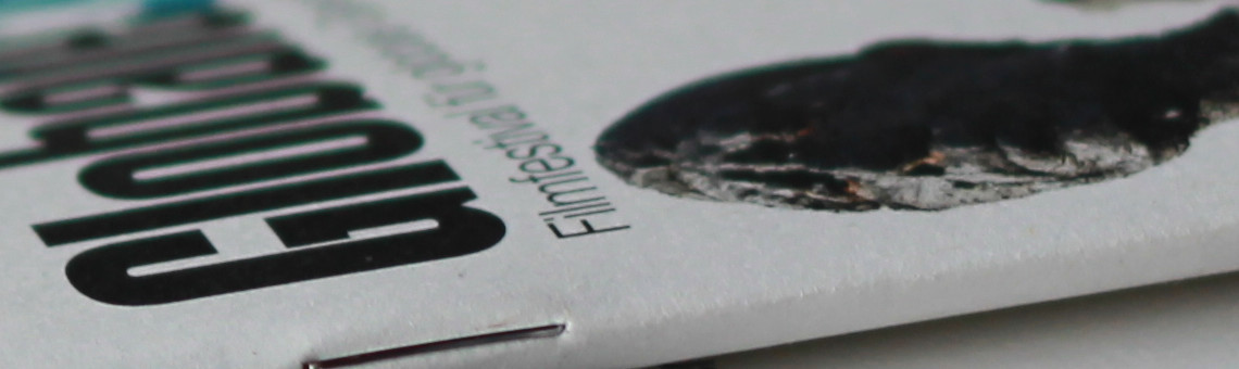 programm flach mit perspektive